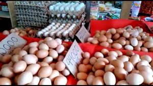 Akhir Tahun, Harga Telur Naik