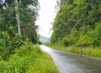 Dewan Minta Pemprov Segera Perbaiki Jalan Amblas Di Kabupaten Lebong, Jangan Sampai Timbul Korban