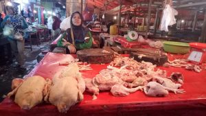 Harga Daging Ayam Turun