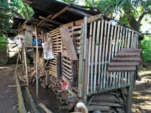 Musim Hujan, Dinas PKH Minta Peternak Waspada Penyakit Cacingan Pada Hewan