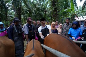 Gubernur Rohidin Minta Peternak Perhatikan Kesehatan Hewan Ternak