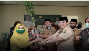Hijazi Bagikan 9 Ribu Bibit Jeruk Untuk Petani