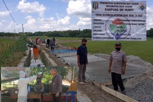 Realisasikan Pekerjaan Fisik Tahap Pertama, Kepala Kampung Sri Numpi Tuai Pujian Masyarakat