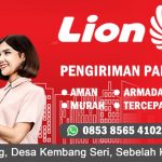 Lion Parcel