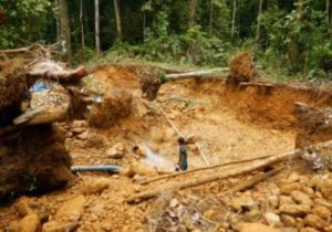 Cemari Sungai Hingga Korban Nyawa,Tambang Emas Ilegal Bebas Di Way Kanan