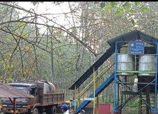 Dua Ekor Sapi Diduga Mati Diracun Di Area TPH 2 Afdeling 1 PTPN 3 Kebun Pulo Mandi