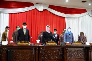 Pemprov Sumsel Ajukan 9 Raperda