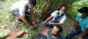 Polsek Pantai Cermin Tangkap Pengguna Narkotika Jenis Daun Ganja Kering