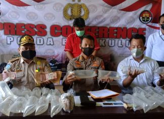 Reskrimsus Polda Bengkulu Berhasil Tangkap Penyelundupan 15.000 Benih Bayi Lobster