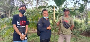 Puspa Langka Bunga Bangkai Jenis Asper Mekar Ditengah Hutan Rajalelo Bengkulu Tengah