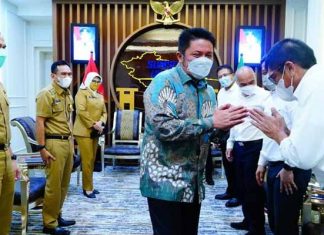 Gubernur Segera Wujudkan Sumsel Diterangi Listrik 100 Persen