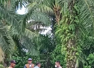 PTPN III Kebun Huta Padang Berikan Bantuan Untuk Pembangunan Jembatan