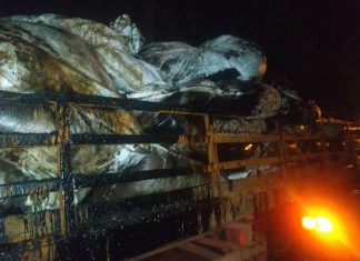 Aktifitas Bongkar Limbah B3 di Pelabuhan Batu Ampar Diduga Ilegal