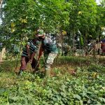 Anggota Satgas Bantu Cabut Singkong, Sekaligus Komsos Dengan Pemilik Lahan Singkong