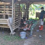 Warga : Terimakasih Pak TNI Telah Membatu Saya Membersihkan dan Merapikan Kandang Ternak Kambing Saya
