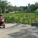 Program TMMD Bertujuan Untuk Mensejahterakan Rakyat