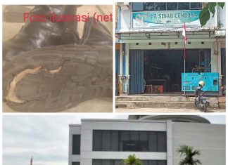 Pengawasan K3 dan APD Di PT Citra Shipyard Dan PT Sinar Cendana Diduga Lemah, Karyawan Pemakai Sepatu Rusak Tewas