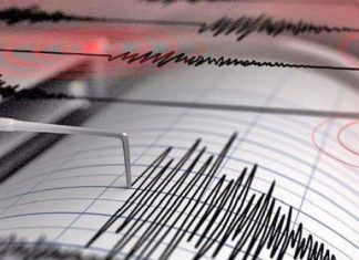 Guncang Wilayah Bengkulu, Gempa Bumi Berkekuatan M 6,5 Buat Panik Masyarakat