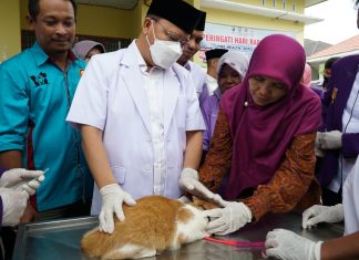 Peringati WRD Tahun 2022, Gubernur Targetkan Bengkulu Terbebas Dari Rabies