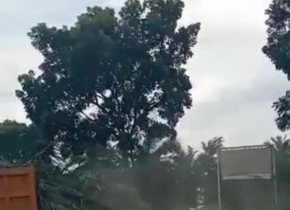 Debu Jalanan Seperti Kabud Selimuti Kek Seimangke Karena Truk Pengangkut Pohon Sawit