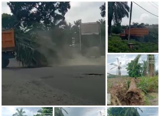 Kontraktor Pelaksana Dan Pengelola Kawasan Kek Sei Mangke Bungkam Terkait Dampak Lingkungan Ini