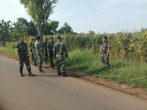 Pengecekan Tanaman Jagung Oleh Tim Wasev Korem 071/Wijayakusuma