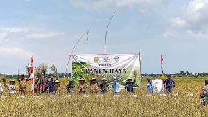 Pimpin Langsung Kegiatan Panen Raya Padi Sekolah Lapang Iklim, Bupati Seluma : Semoga Para Petani Dapat Mengambil Manfaat