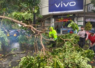 Samapta Polres Blitar Kota Sigap Evakuasi Pohon Tumbang di Jalan Merdeka