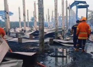 Kandang Hewan Milik Kepala Desa Tanjung Habis Diserang Si Jago Merah