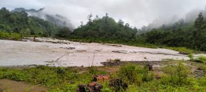 Akibat Banjir Bandang di Desa Pangandaran, Puluhan Hektare Milik Warga Gagal Panen