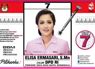 Elisa Ermasari Siap Bangkitkan Peran Perempuan Melalui Peningkatan UMKM di Bengkulu