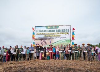 Hari Terakhir Kunjungan Kerja ke Pulau Enggano, Gubernur Rohidin dan Danrem 041/Gamas Lakukan Gerakan Tanam Padi Gogo