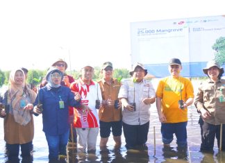 Asisten II Bidang Perekonomian Setda Bengkulu Hadiri Penanaman Mangrove Serentak