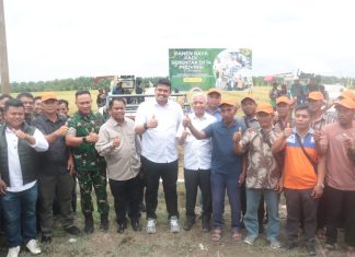Presiden Prabowo Pimpin Panen Raya Nasional, Gubernur Sumut dan Bupati Sergai Tegaskan Komitmen Swasembada Pangan