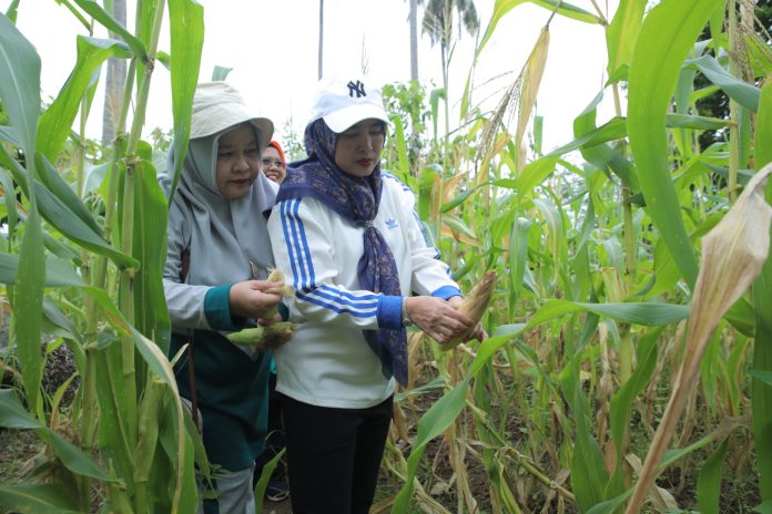 WhatsApp Image 2025-06-14 at 12.38.37