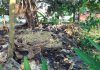 Diduga Limbah B3, Sampah Plastik Dibakar di Samping Perumahan Warga Maitri Indah dan Kodim