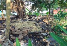 Diduga Limbah B3, Sampah Plastik Dibakar di Samping Perumahan Warga Maitri Indah dan Kodim