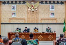 Pelantikan Gubernur dan 7 Bupati Terpilih Digelar Serentak 6 Februari 2025