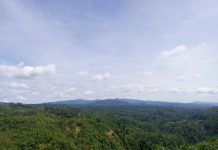 22 Tahun Pemekaran Seluma: Antara Harapan dan Bayang-Bayang Tambang Emas