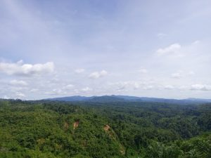 22 Tahun Pemekaran Seluma: Antara Harapan dan Bayang-Bayang Tambang Emas