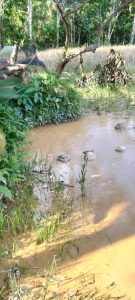 Kades Meribung Diduga Aktor Utama PETI, Gbrk Siap Laporkan ke Polda Jambi