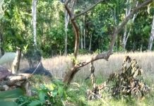 Kades Meribung Diduga Aktor Utama PETI, Gbrk Siap Laporkan ke Polda Jambi