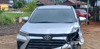Mobil Dinas KDH Kecelakaan, Diduga Dikendarai Oknum Anggota DPRD Lebong