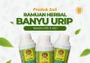 Metode Terapi Herbal Banyuurip Resmi Diperkenalkan di Blitar: Khasiat, Legalitas, dan Cara Kerja