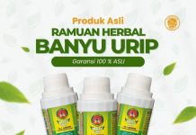 Metode Terapi Herbal Banyuurip Resmi Diperkenalkan di Blitar: Khasiat, Legalitas, dan Cara Kerja