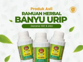 Metode Terapi Herbal Banyuurip Resmi Diperkenalkan di Blitar: Khasiat, Legalitas, dan Cara Kerja