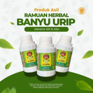 Metode Terapi Herbal Banyuurip Resmi Diperkenalkan di Blitar: Khasiat, Legalitas, dan Cara Kerja