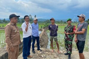 Komisi III DPRD Lebong Tinjau Sawah Kering, Dorong Penerapan Sistem Buka–Tutup Pintu Air