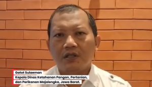 Peran Pemerintah Daerah Dalam menciptakan ketahanan Pangan Lokal Sebagai Pondasi Ketahanan Pangan Nasional
