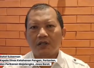Peran Pemerintah Daerah Dalam menciptakan ketahanan Pangan Lokal Sebagai Pondasi Ketahanan Pangan Nasional